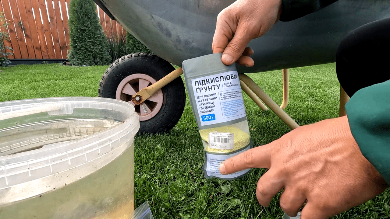 Садівники розповіли про осінній догляд за лохиною