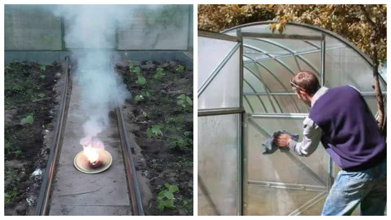 Городники розповіли, як підготувати теплицю до зими