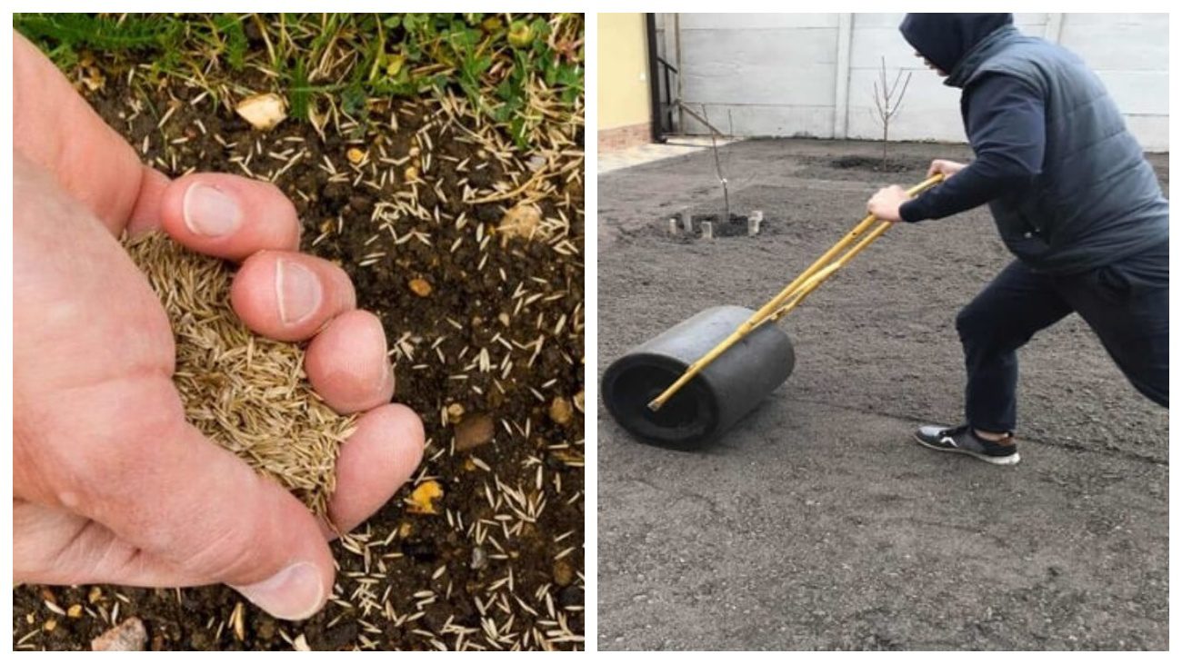 Садівники розповіли, як доглядати газони восени