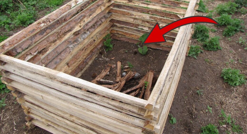 3 ст. ложки на відро – і перегниють навіть кістки з гілками: з цією добавкою компост дозріває у 2 рази краще 