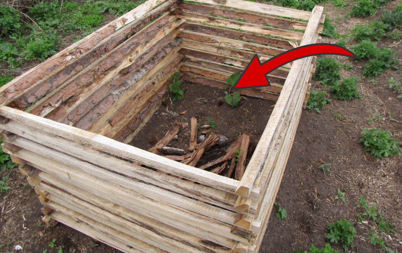 Експерти розповіли простий спосіб компостування на осінь