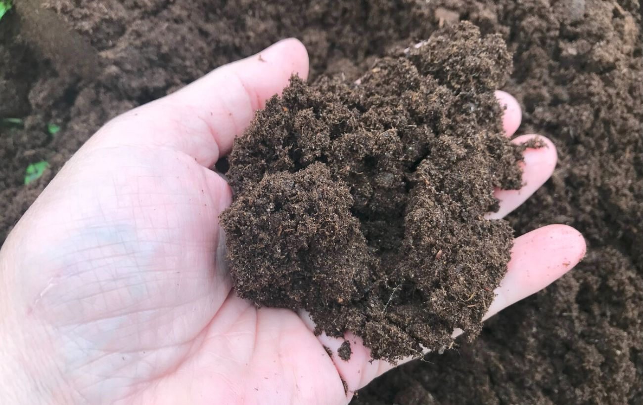 Городники розповіли, як приготувати розчин для знезараження ґрунту 