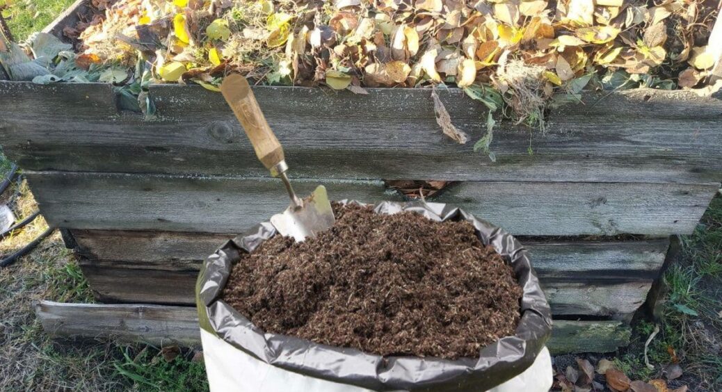Лити “це” в компост повинен кожен дачник: до весни навіть від гілок і кісток нічого не залишиться 