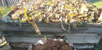 Городники розповіли, як пришвидшити дозрівання компосту