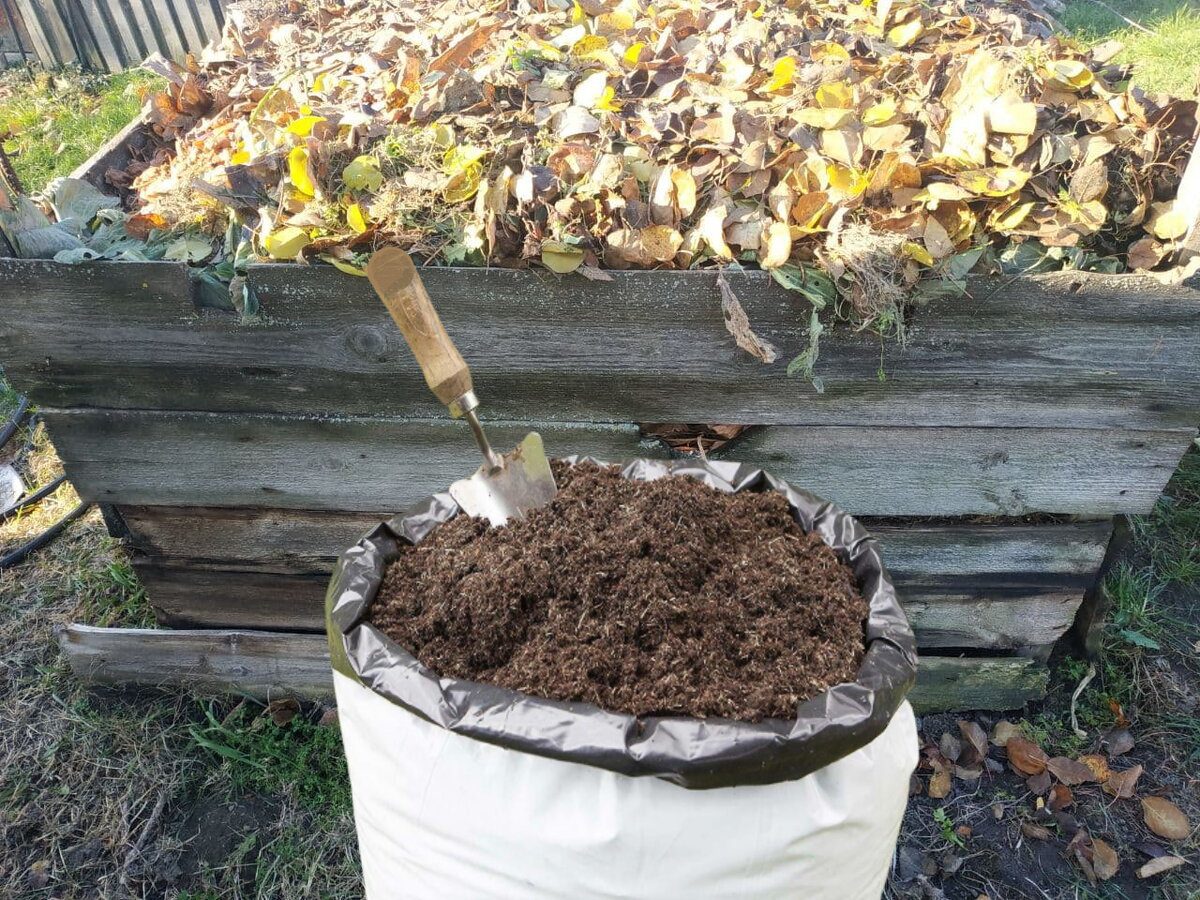 Городники розповіли, як пришвидшити дозрівання компосту