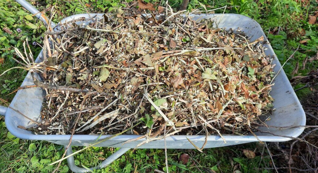 Набила мішок листям восени, зробила дірки знизу: до весни всередині “чорне золото” – без зайвої мороки 