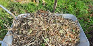 Експерти розповіли, як зробити якісний компост з опалого листя