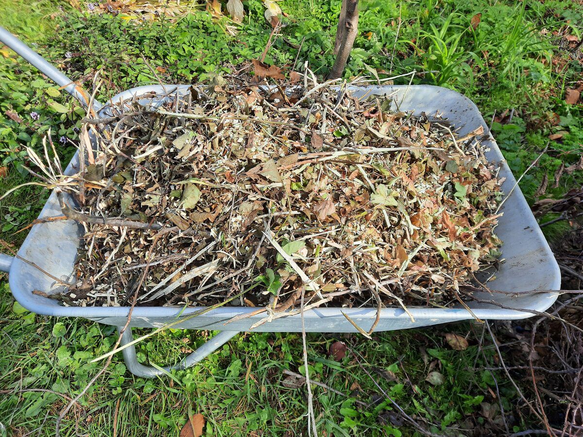 Експерти розповіли, як зробити якісний компост з опалого листя