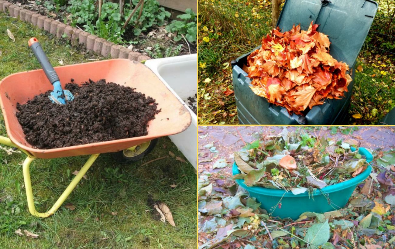 Експерти розповіли, як правильно закласти компост восени 