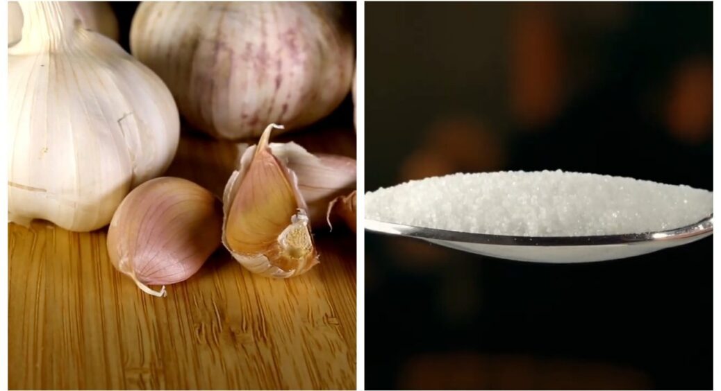 Осіння посадка часнику точно має включати цей етап та 1 з 4-х засобів: SPA-процедури для посівного матеріалу 