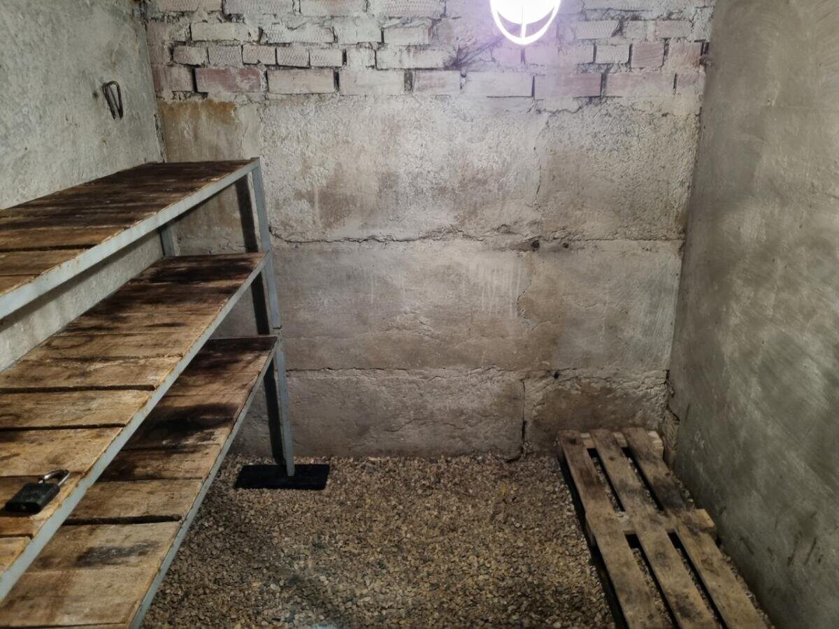 Експерти розповіли, як позбутись від вогкості у погребі за допомогою простого лайфхаку