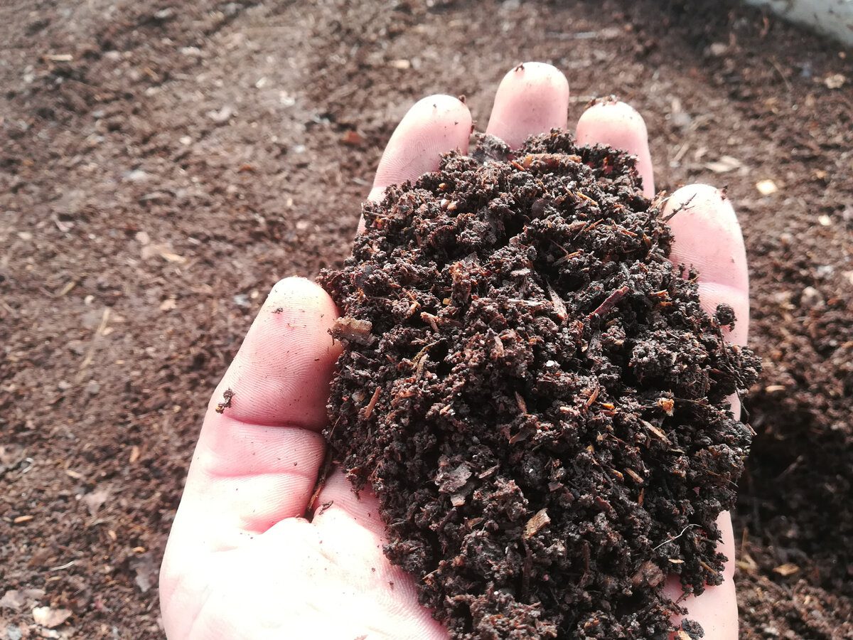 Городники розповіли, як швидко приготувати компост за перевіреною технологією