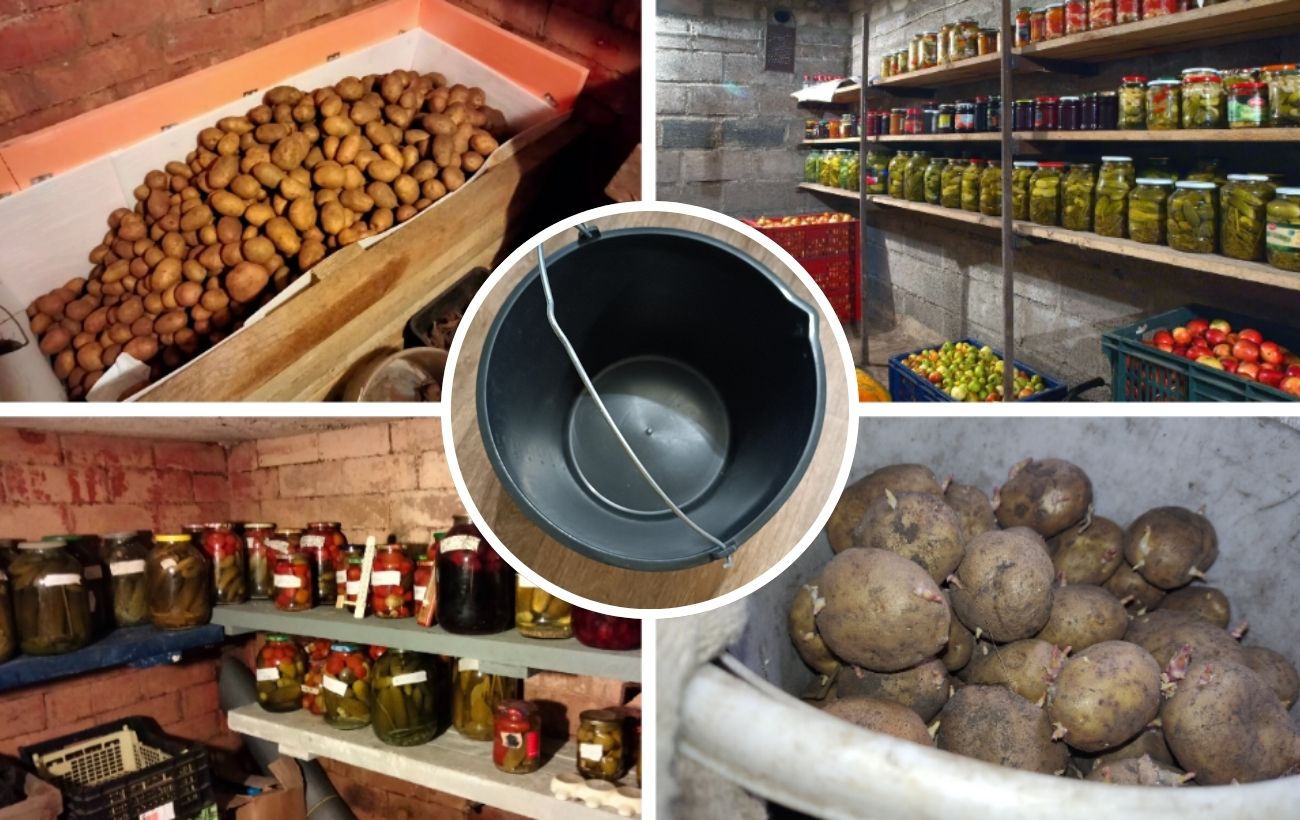 Як позбутись від вогкості у погребі