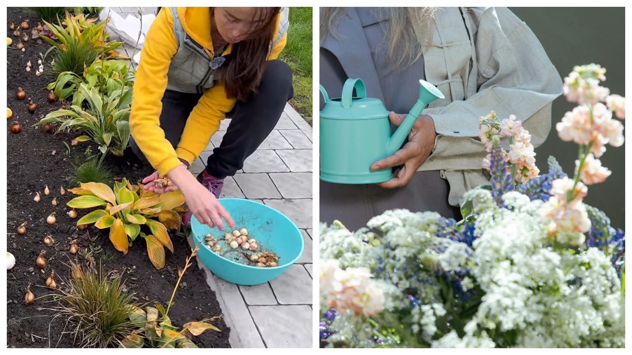 Садівники поділилися ідеями створення оригінальної клумби