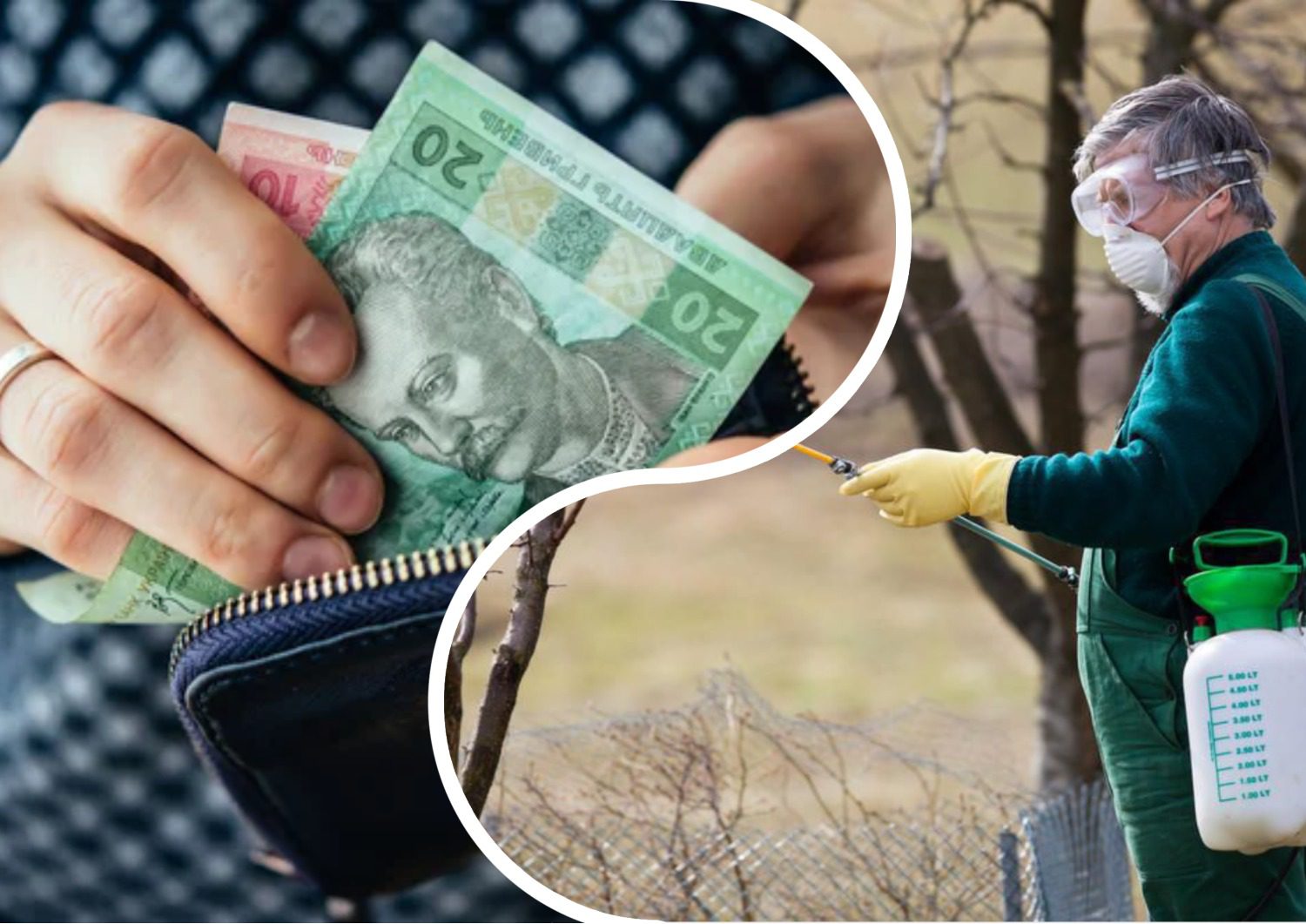 Садівники порадили заощадливу обробку саду від шкідників