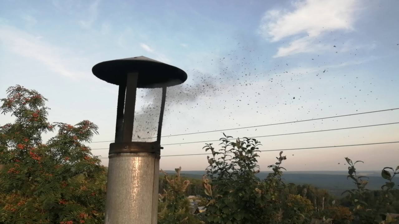 Експерти розповіли, як очистити димар за допомогою пластикових пляшок