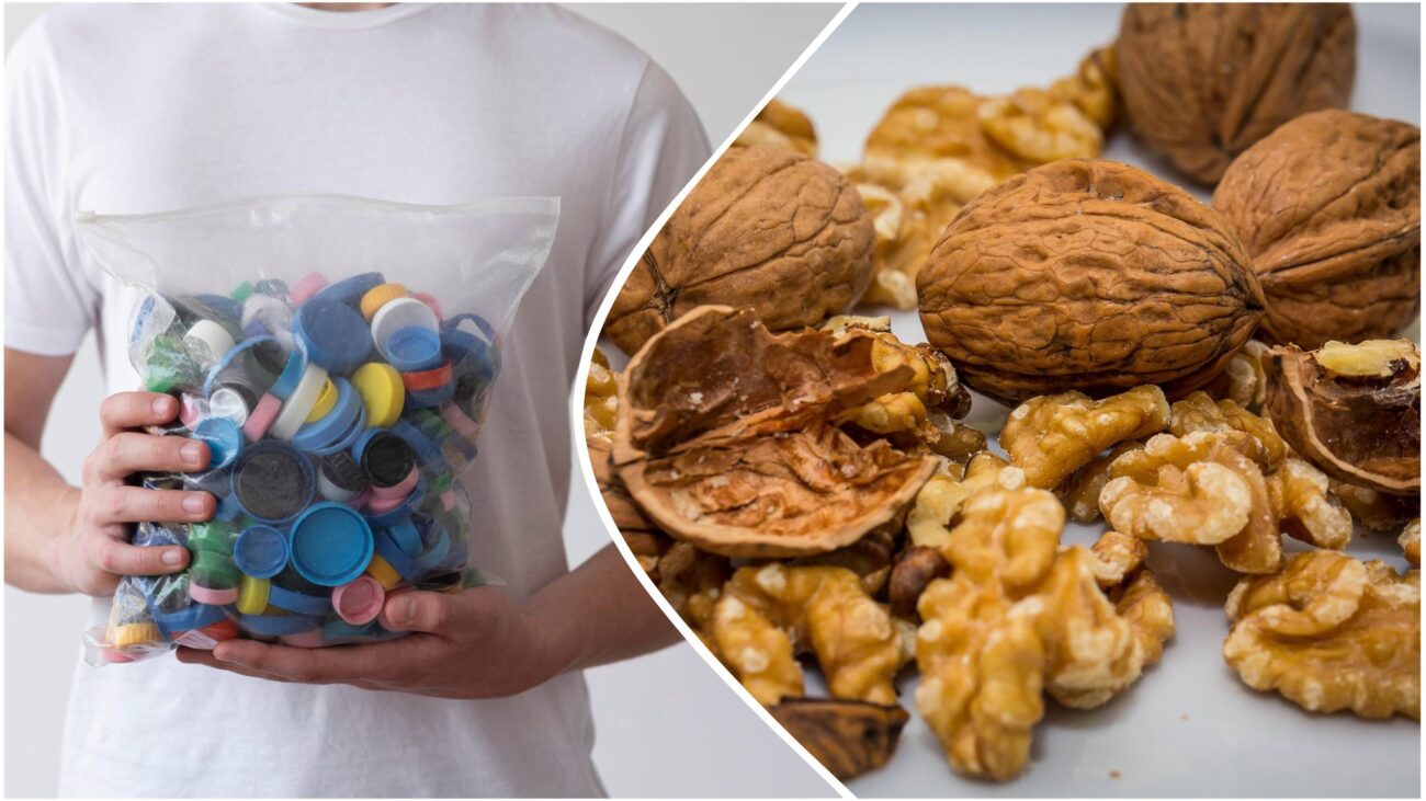 Господині розповіли, як зробити горіхокол із кришок від пластикових пляшок