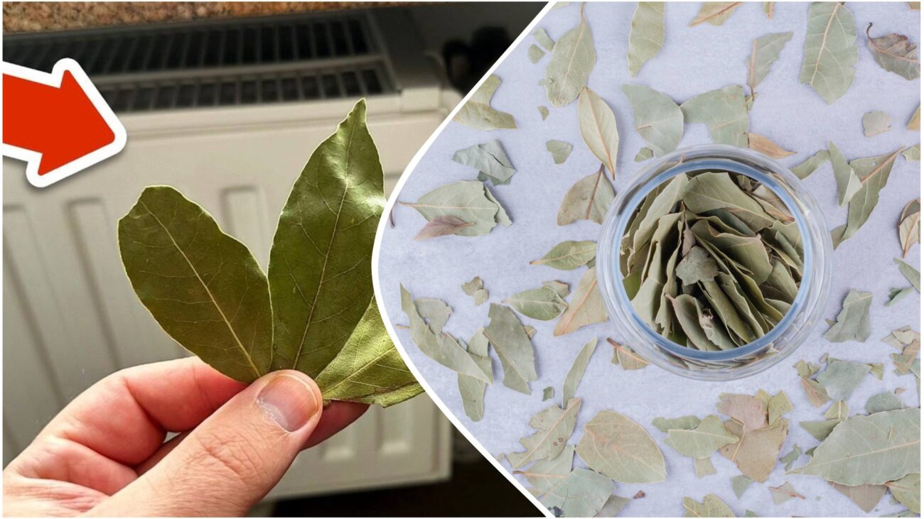 Досвідчені господині розповіли, навіщо класти лавровий лист на батарею