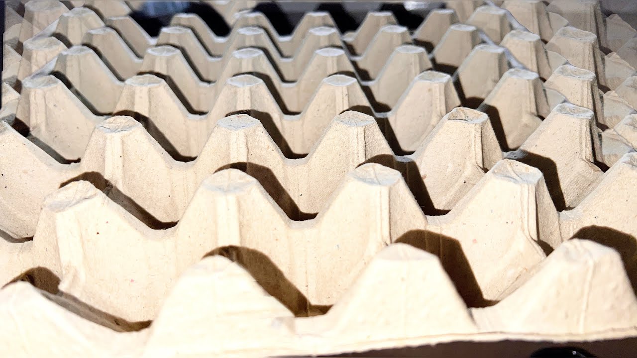 Дачники розповіли, як із користю використовувати звичайні лотки від яєць