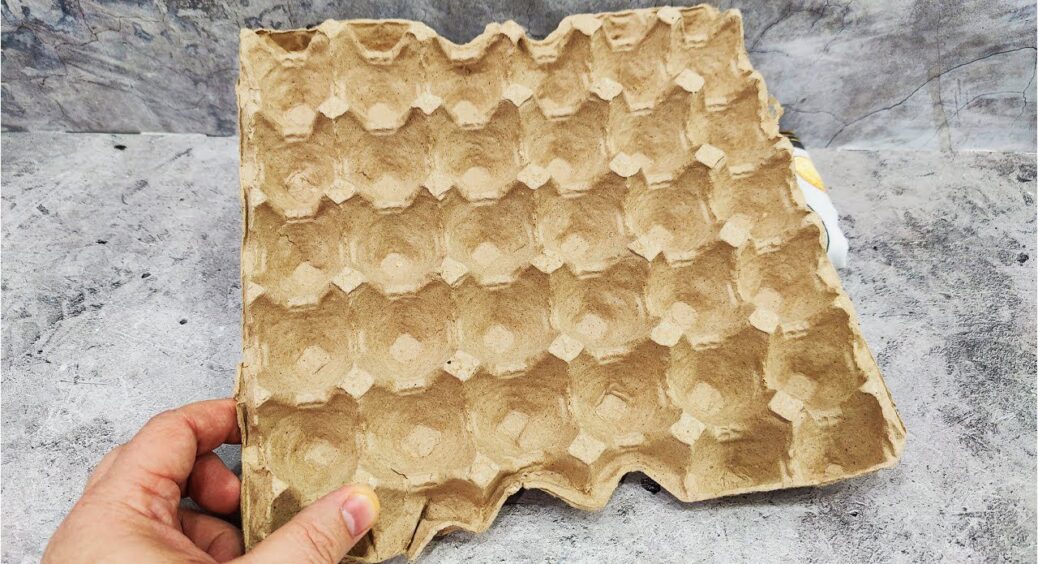 Невістка з села яєчні лотки купує по 10 штук за раз: я здивована лайфхаком – повчилась у неї і не шкодую 