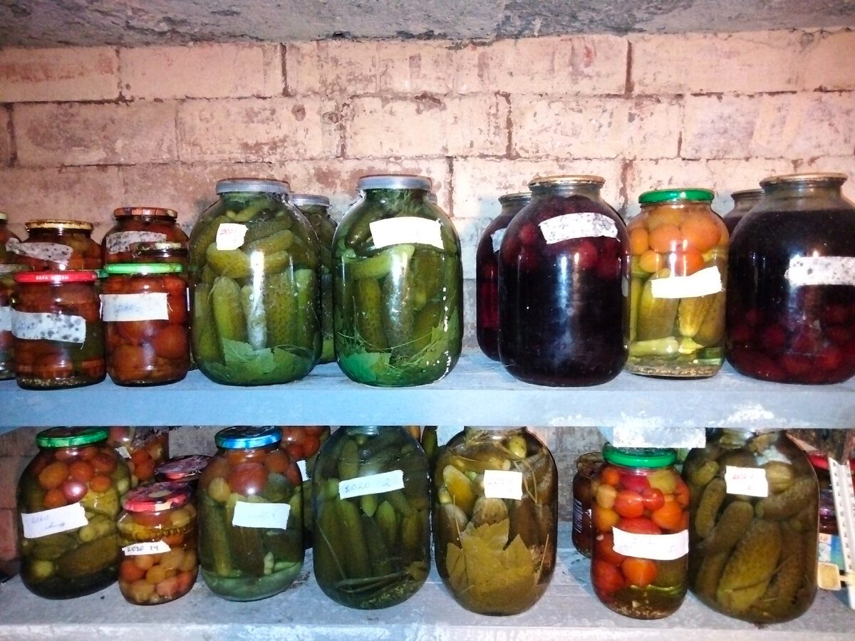 Експерти розповіли, як позбутись від вогкості у погребі за допомогою простого лайфхаку