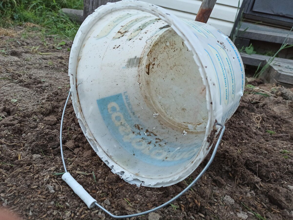 Експерти розповіли, як позбутись від вогкості у погребі за допомогою звичайного відра