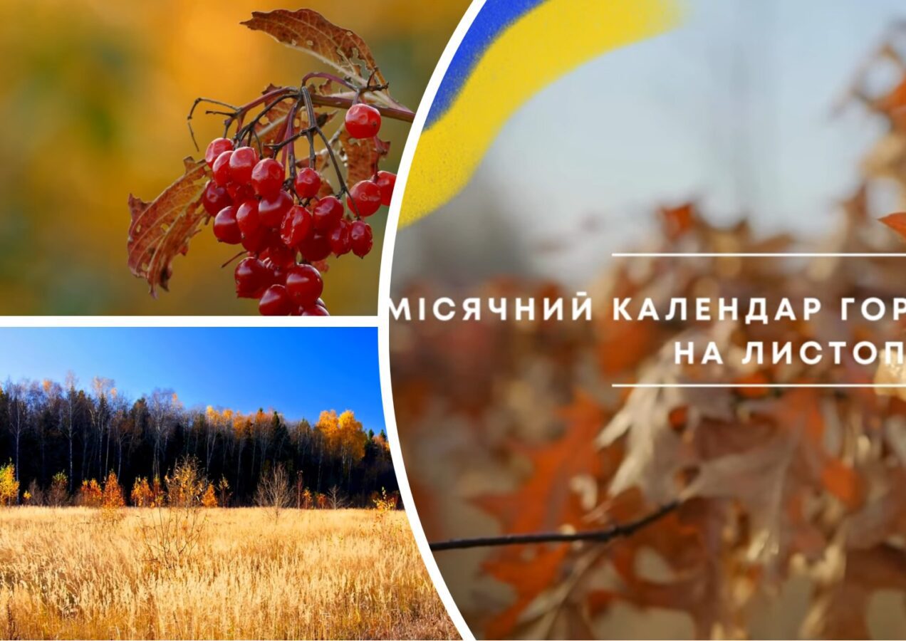 Експерти розповіли про роботи на дачі у листопаді згідно з Місячним календарем