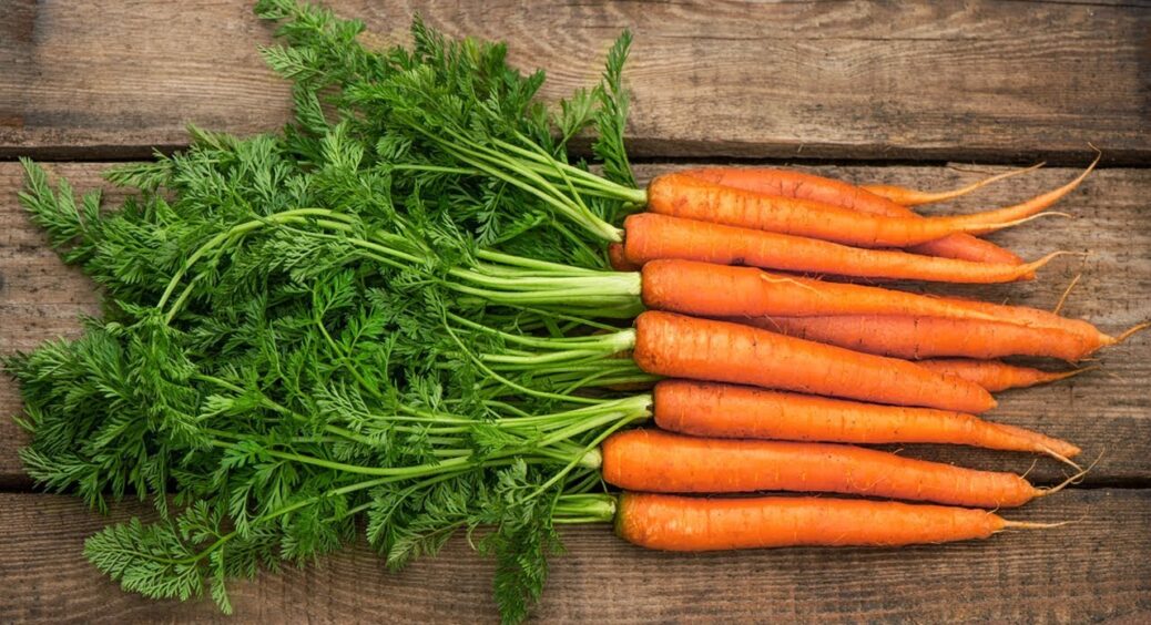 Без підвалу моркву зберігаю свіжою: секрет у 1 речі, яка є в кожного – про неї не здогадується 90% дачників 