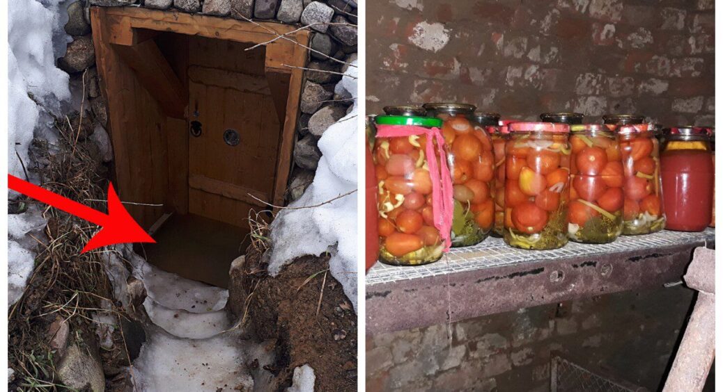 Забула про вогкість у погребі з цим 1 компонентом: лише за 10 годин помітила різницю – ідеальний мікроклімат 