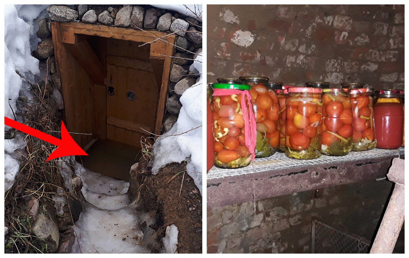 Як позбутись від вогкості у погребі