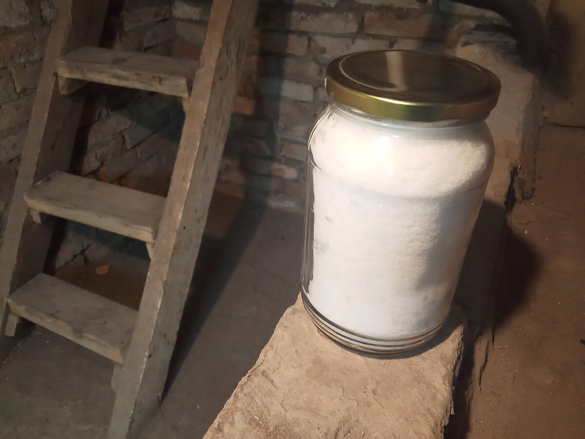 Експерти розповіли, як позбутись від вогкості у погребі за допомогою звичайного відра