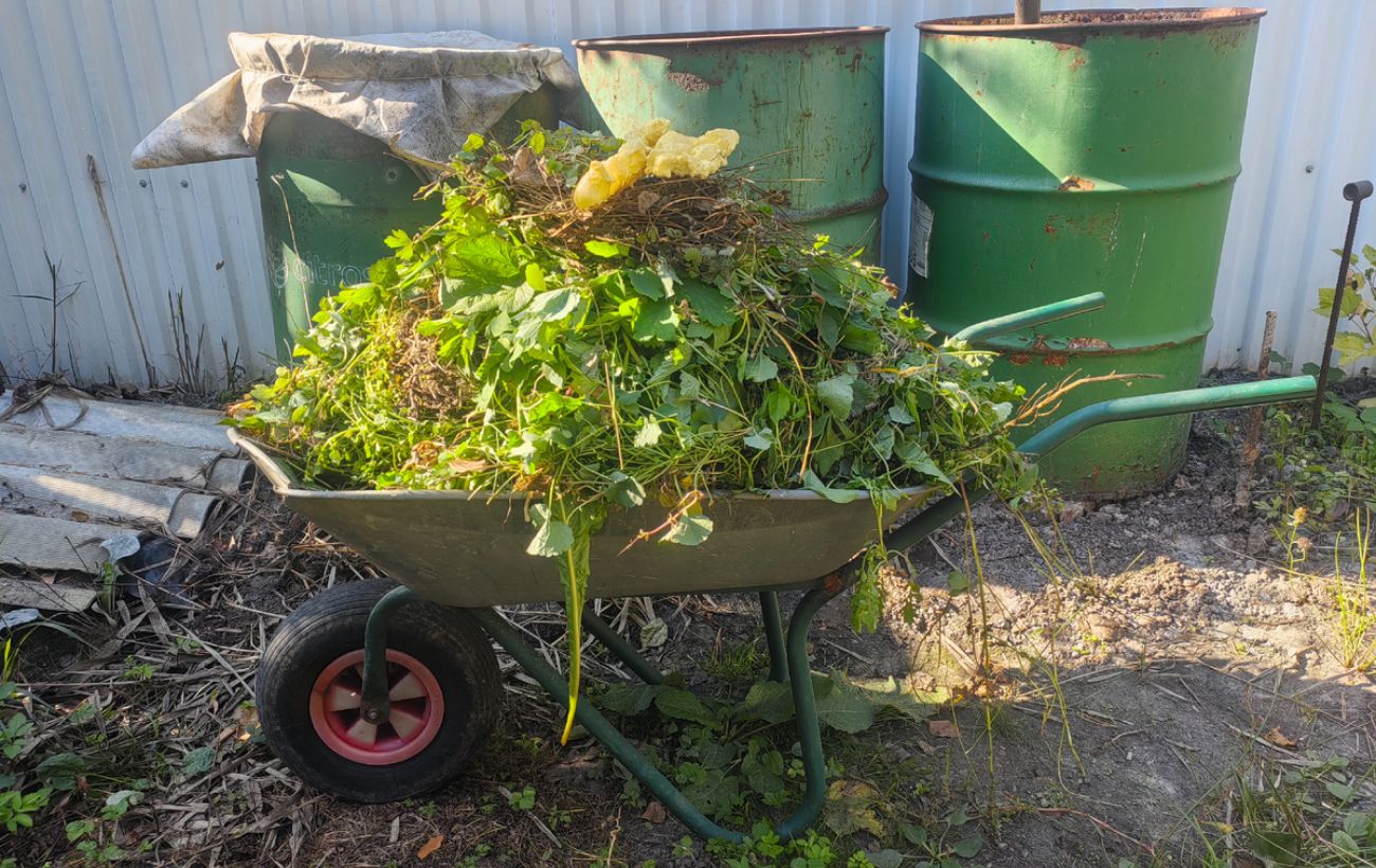 Як прискорити дозрівання компосту на грядці