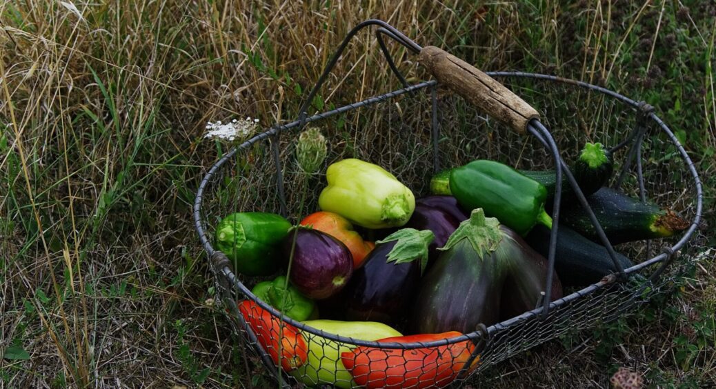 Готую таку 1 “підкормку” – і одразу вбиваю 2-х зайців: овочі без краплі нітратів та зберігаються всю зиму 
