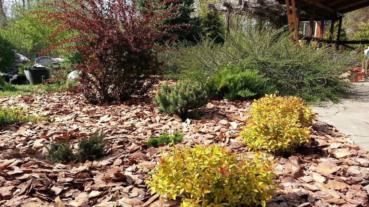 Городники розповіли, як перетворити кору в ефективний мульчуючий матеріал