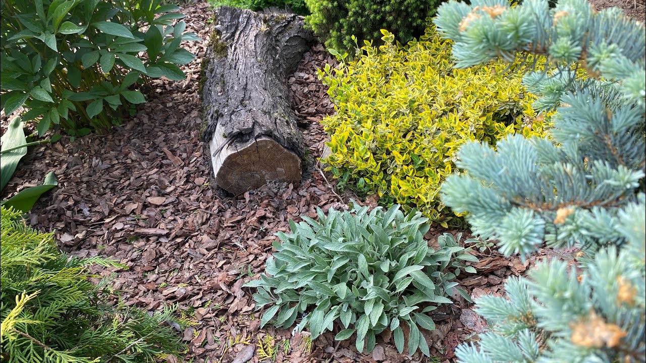 Городники розповіли, як перетворити кору в ефективний мульчуючий матеріал