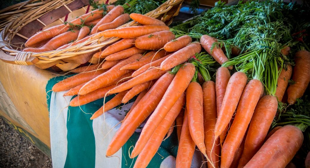 Морква виросла така велика, що витягали 2 руками: тепер саджатиму лише її. Сорти та секрети догляду 