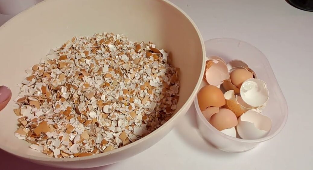 Яєчну шкаралупу заливаю оцтом – і усю зиму біди не знаю: геніальний “трюк” від 80-річної бабусі 