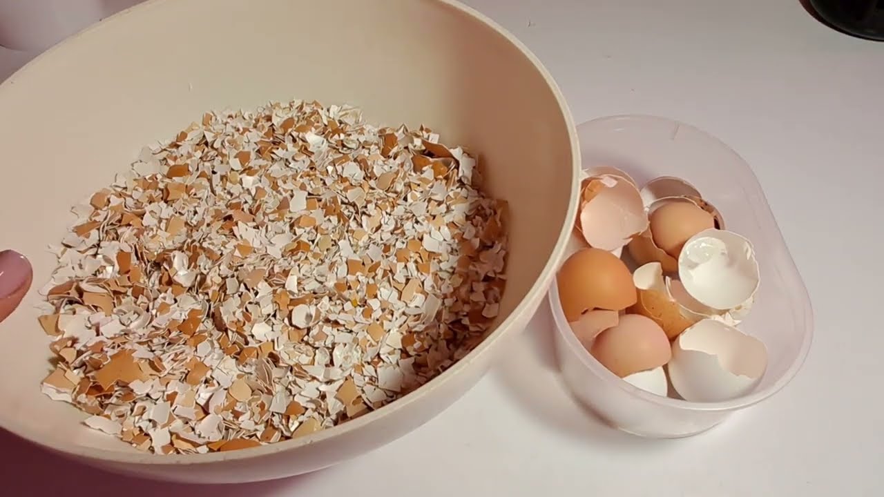 Господині розповіли, навіщо потрібно заливати яєчну шкаралупу оцтом