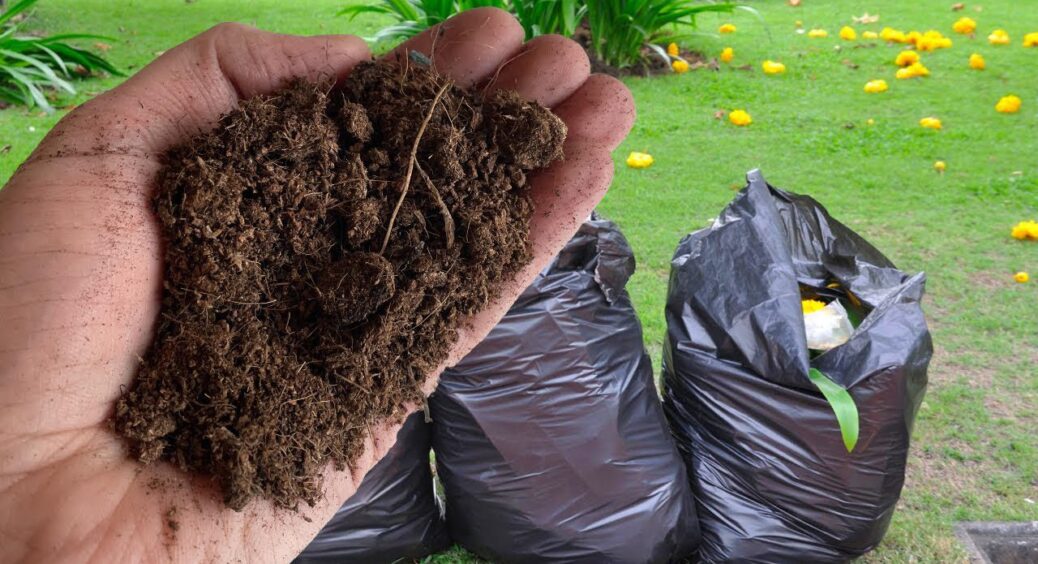 Готую компост у мішках – і за 3 місяці отримую “чорне золото” для грядок: перевірений метод мого дідуся 