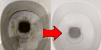 Покоївки назвали бюджетний спосіб, який швидко очистить унітаз до білосніжності