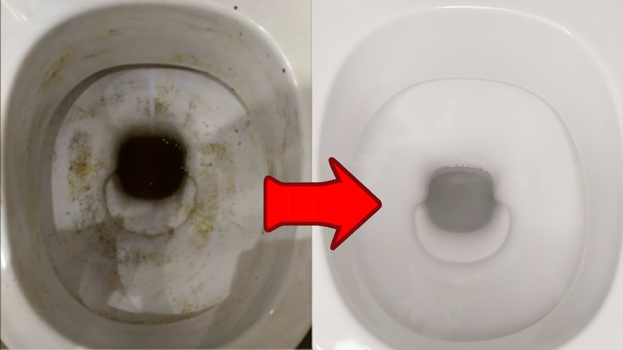 Покоївки назвали бюджетний спосіб, який швидко очистить унітаз до білосніжності