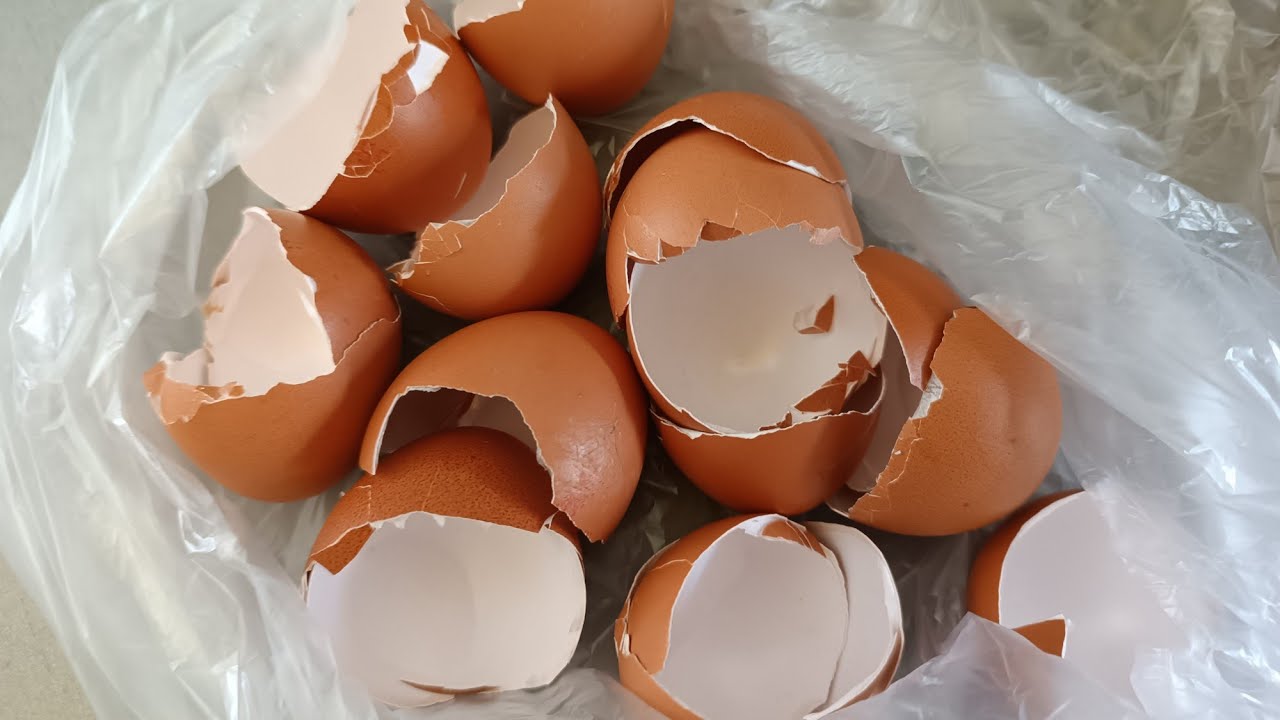 Господині розповіли, навіщо потрібно заливати яєчну шкаралупу оцтом