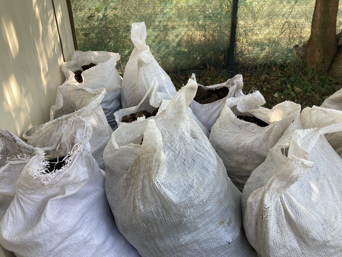 Експерти розповіли, як приготувати компост за 7 місяців, використовуючи опале листя