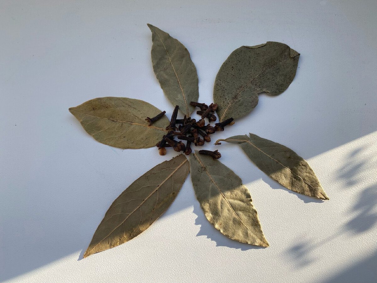 Господині розповіли, як за допомогою простого лайфхаку швидко освіжити вдома повітря – секрет