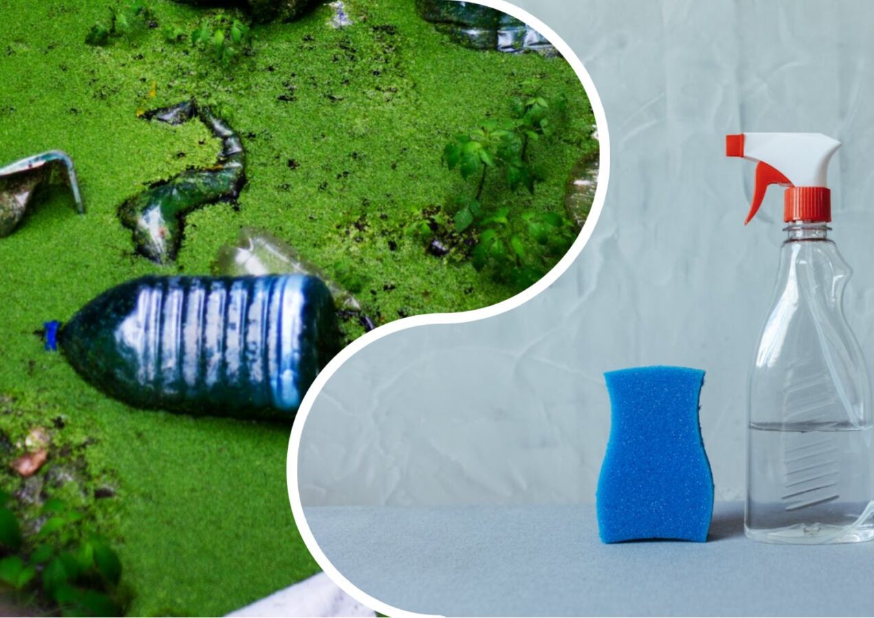 Експерти розповіли, як без щітки відмити від цвілі стару пляшку