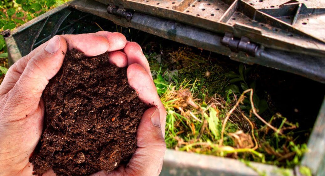 Не палю бадилля, а заливаю його 1 відром води з крану: весною маю “золоте добриво” – кращого не знайдете 