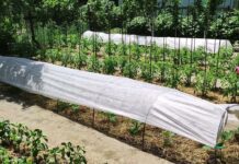 Город без зайвого: як виростити більше, заморочуючись при цьому значно менше – трюк кмітливих агрономів Агрономи поділилися практичними порадами, які спростять догляд за городом