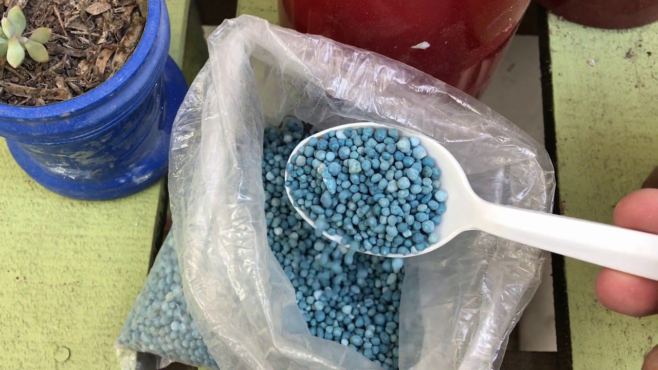 Агрономи розповіли, як використовувати нітрофоску з користю для рослин