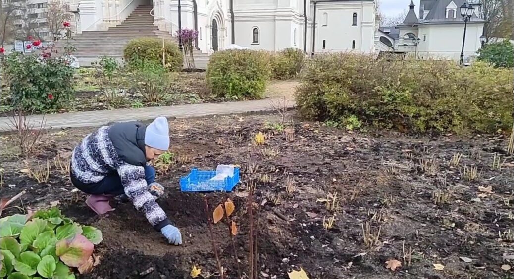 Листопад на дачі: ці 5 дуже важливих справ у саду просто не можна відкладати – ключ до рясного врожаю 