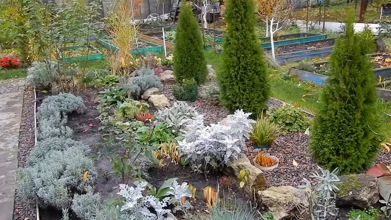 Дачники розповіли, що потрібно обов'язково встигнути зробити у листопаді в саду